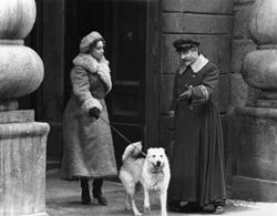 Kutyaszív, film, Zina, Eleonora Giorgi. Amerigo Tot
